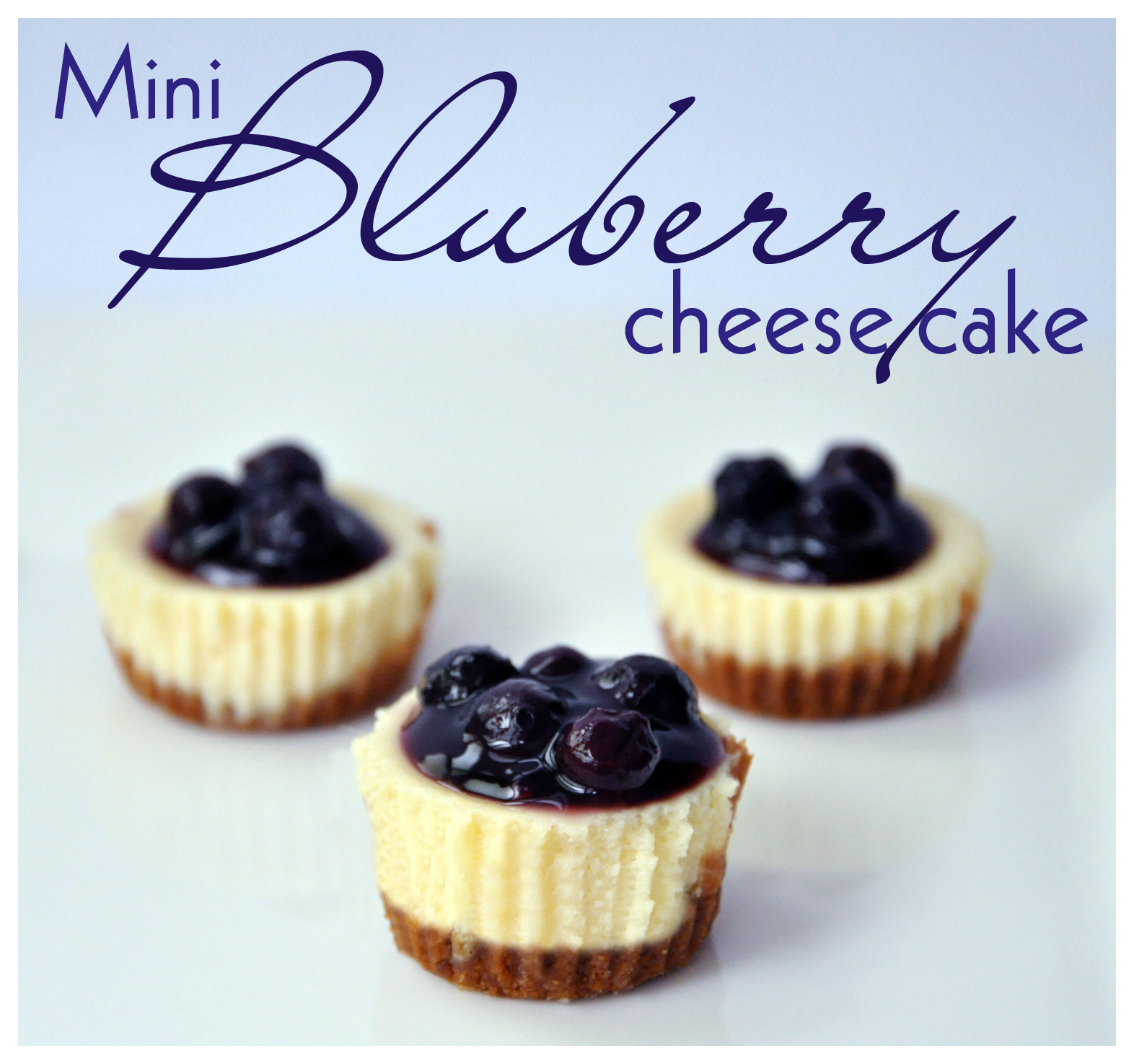 Mini blueberry cheese tart recipe